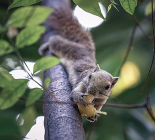 ddos攻击ip软件下载