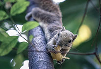 便宜的注册网站求的免费ddos压力测试平台