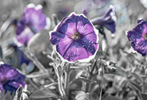 ddos攻击测试工具