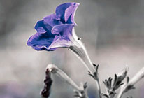 免费ddos在线攻击测试网站